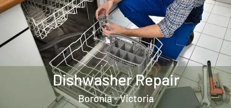 Dishwasher Repair Boronia - Victoria