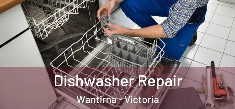 Dishwasher Repair Wantirna - Victoria