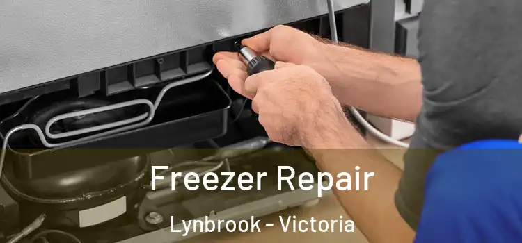 Freezer Repair Lynbrook - Victoria