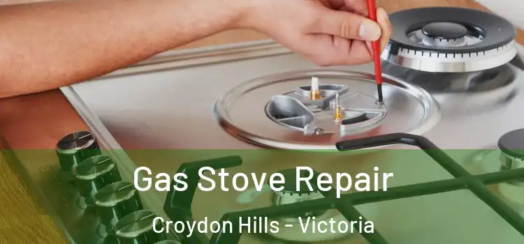 Gas Stove Repair Croydon Hills - Victoria