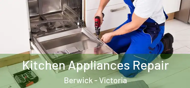 Kitchen Appliances Repair Berwick - Victoria