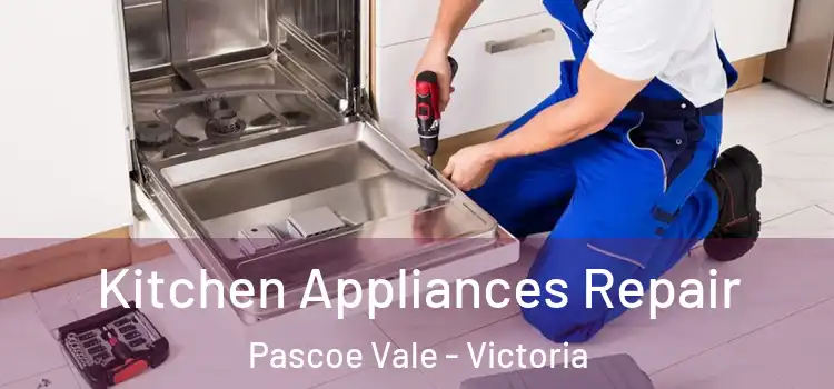 Kitchen Appliances Repair Pascoe Vale - Victoria