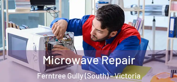 Microwave Repair Ferntree Gully (South) - Victoria