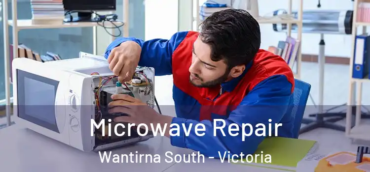 Microwave Repair Wantirna South - Victoria